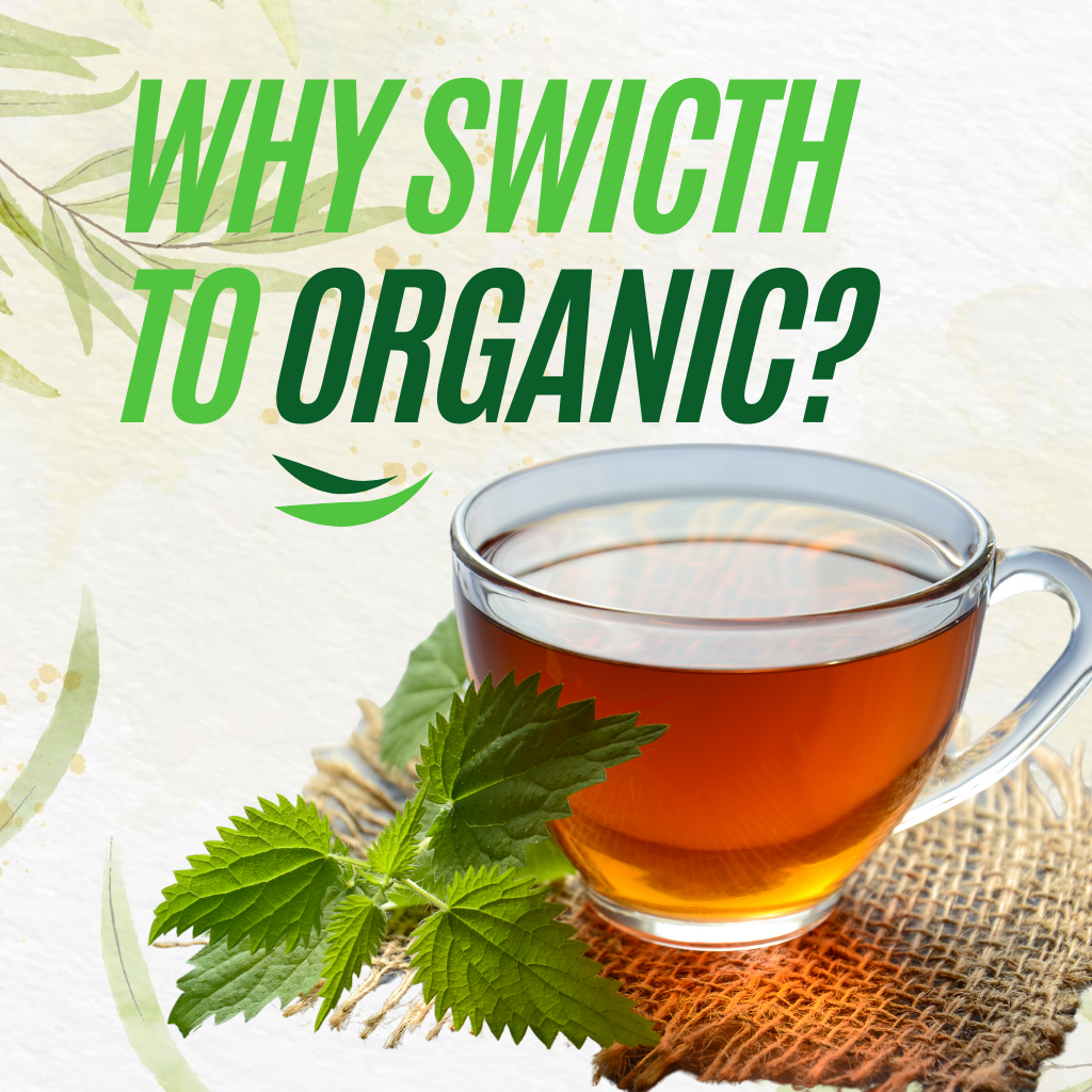 The Health Benefits of Organic Tea: Why Switching to Organic Matters