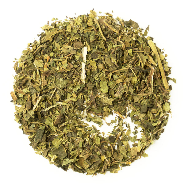 Nettle Leaf Tea - Organic - Bondi Beach Tea Co